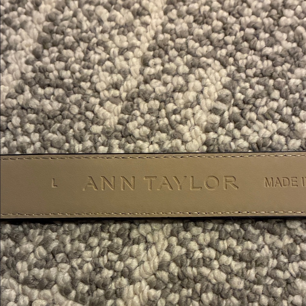 Elegant Ann Taylor checkered Belt with Gold Buckle - Picture 4 of 4